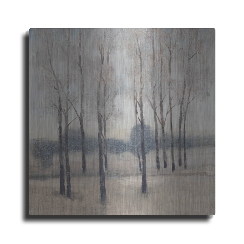 'Soft Light I' by Tim O'Toole – Metal Wall Art