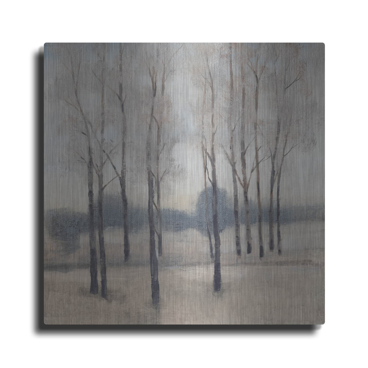 'Soft Light I' by Tim O'Toole – Metal Wall Art
