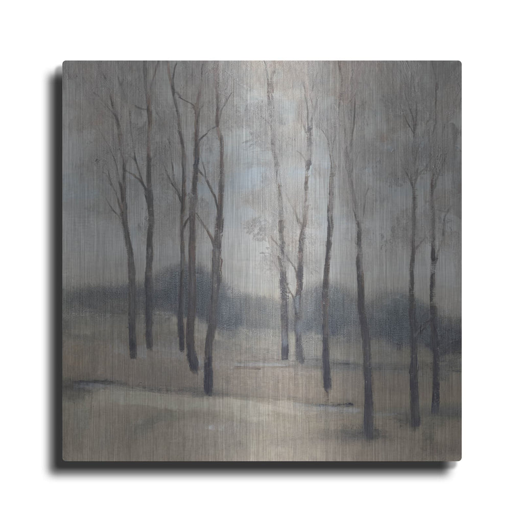 'Soft Light II' by Tim O'Toole – Metal Wall Art