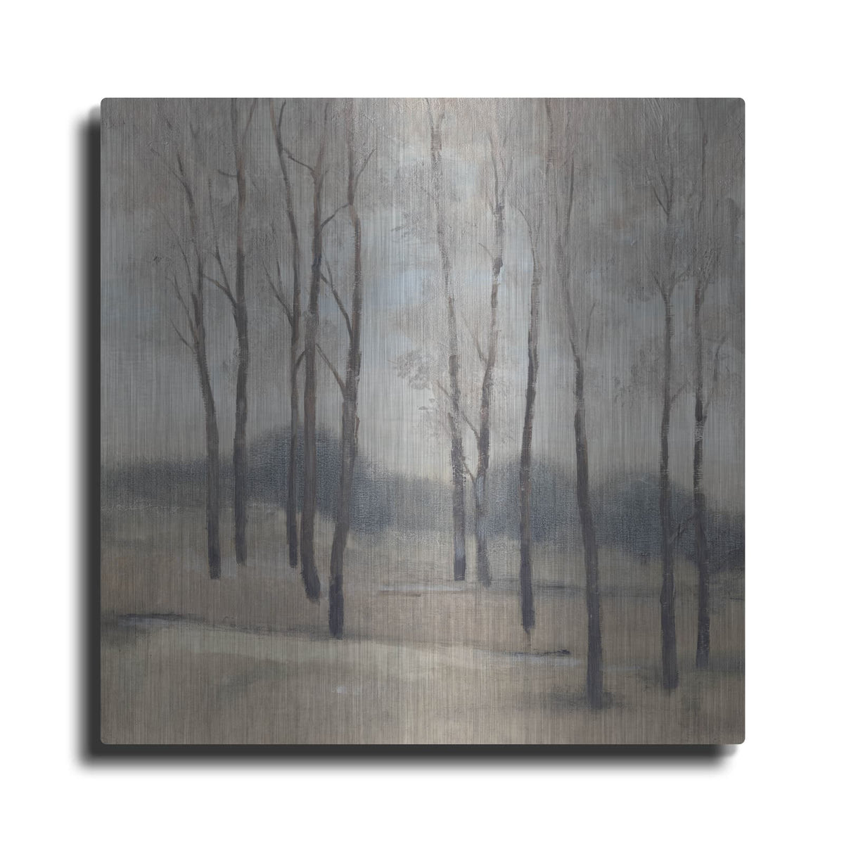 'Soft Light II' by Tim O'Toole – Metal Wall Art