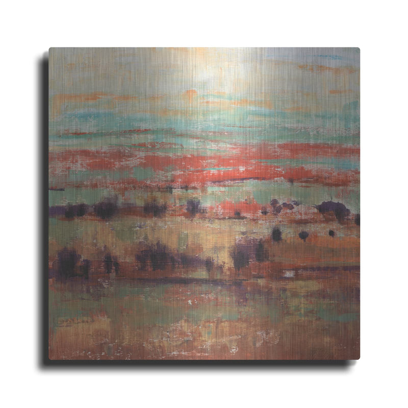 'Divided Landscape I' by Tim O'Toole – Metal Wall Art