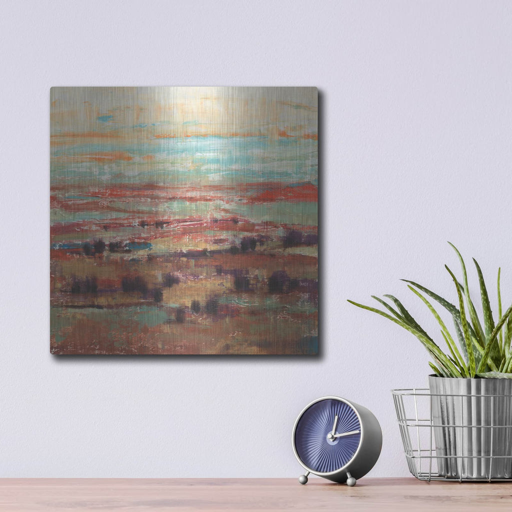 'Divided Landscape II' by Tim O'Toole – Metal Wall Art, 12x12 room view