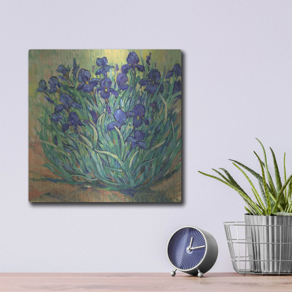 'Irises in Bloom I' by Tim O'Toole – Metal Wall Art, 12x12 room view