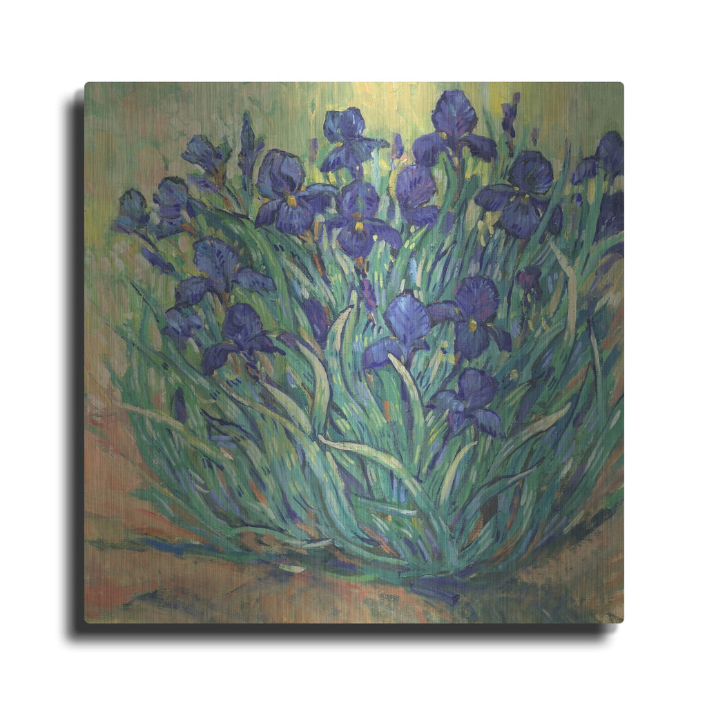 'Irises in Bloom I' by Tim O'Toole – Metal Wall Art