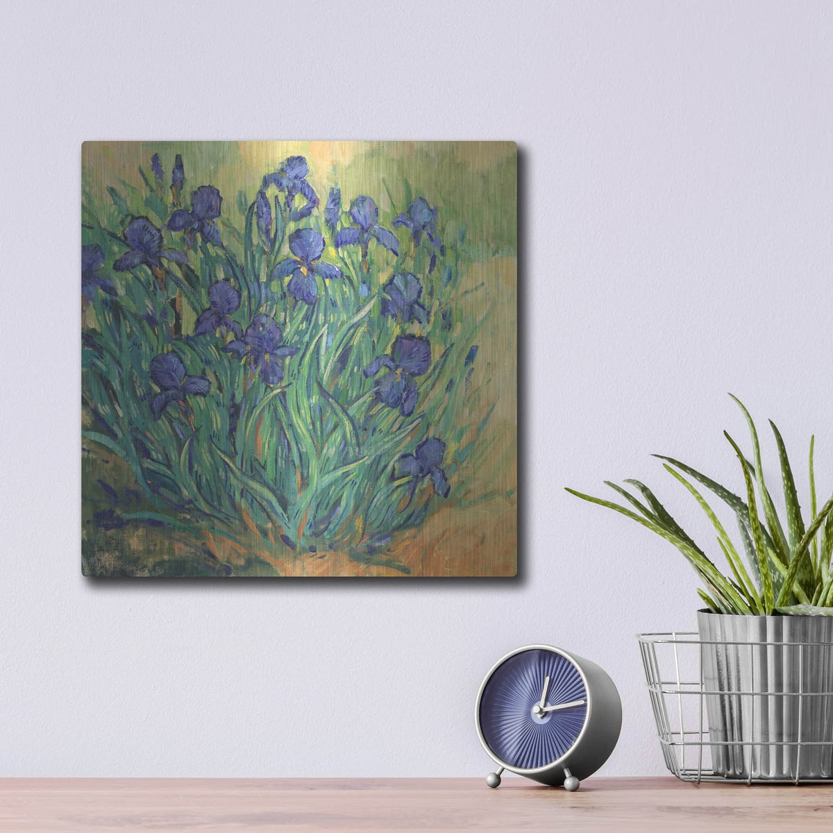 'Irises in Bloom II' by Tim O'Toole – Metal Wall Art, 12x12 room view