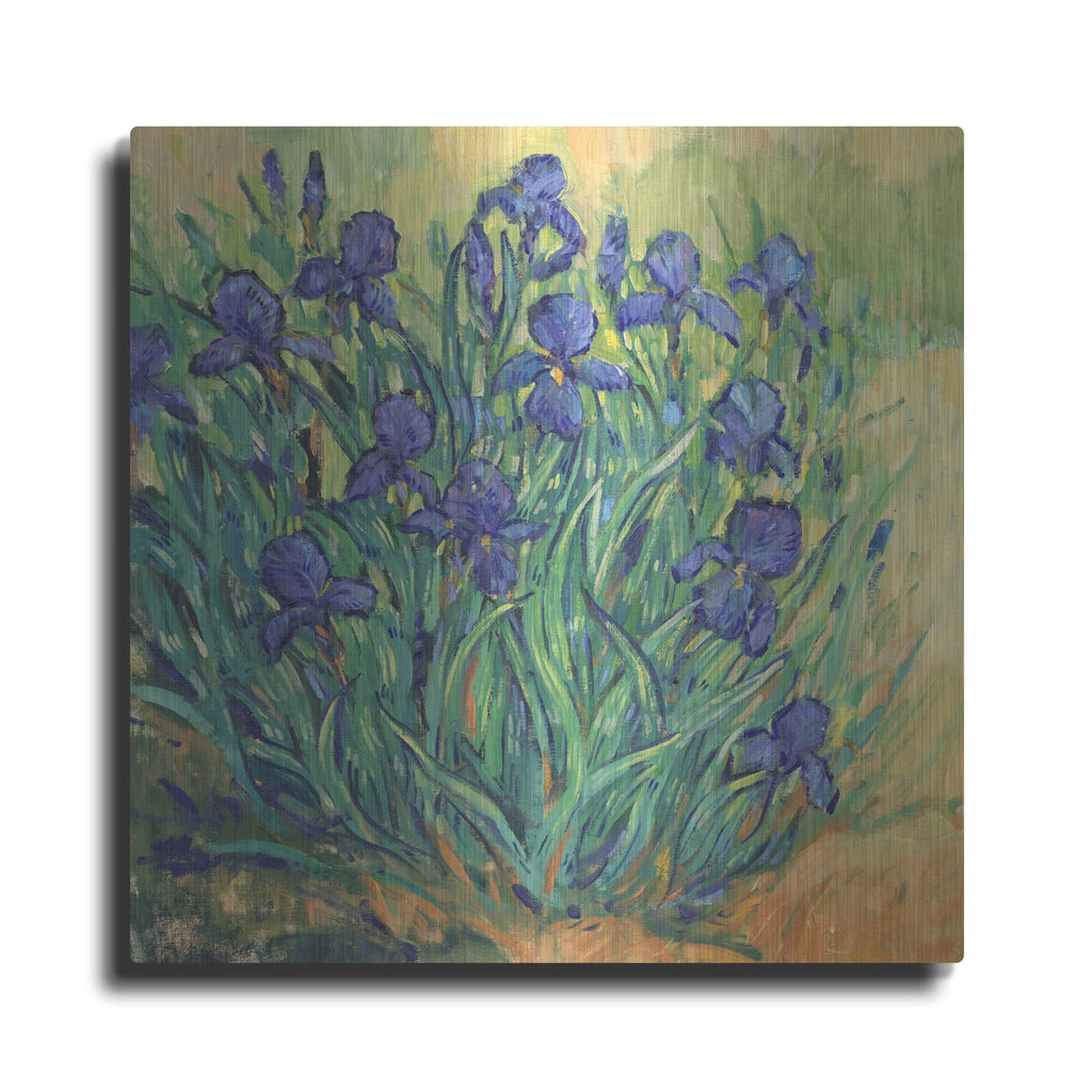 'Irises in Bloom II' by Tim O'Toole – Metal Wall Art