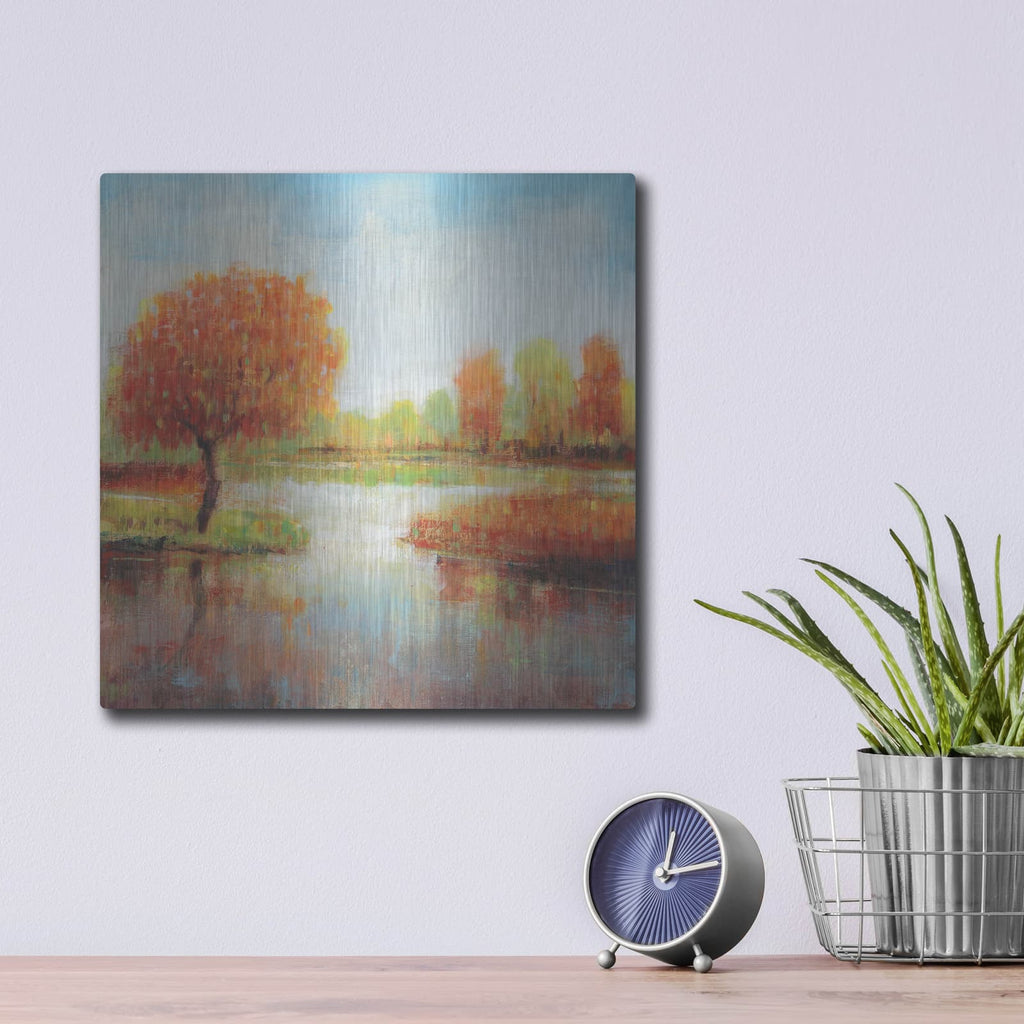 'Lake Reflection I' by Tim O'Toole – Metal Wall Art, 12x12 room view
