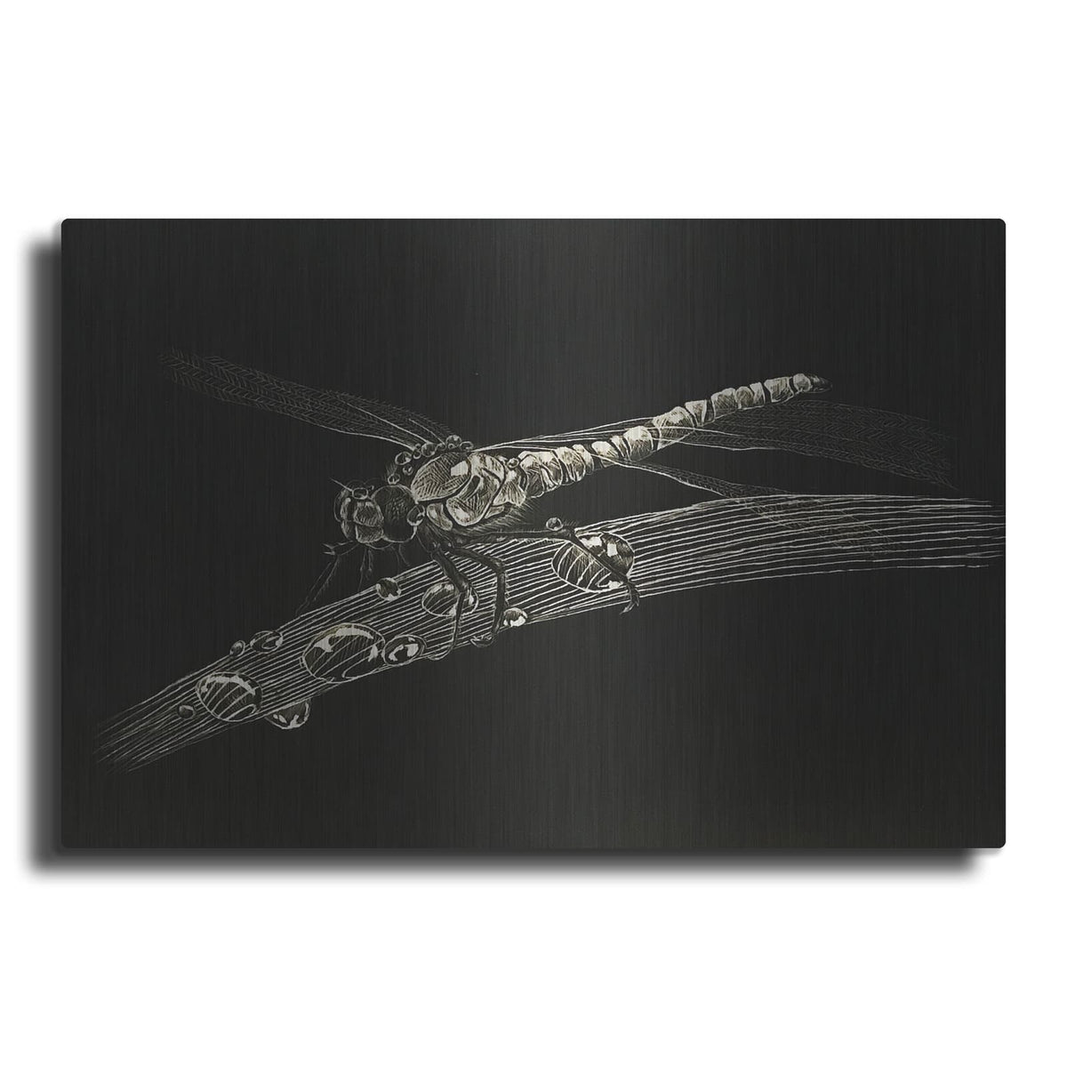 'Dragonfly' by Avery Multer – Metal Wall Art