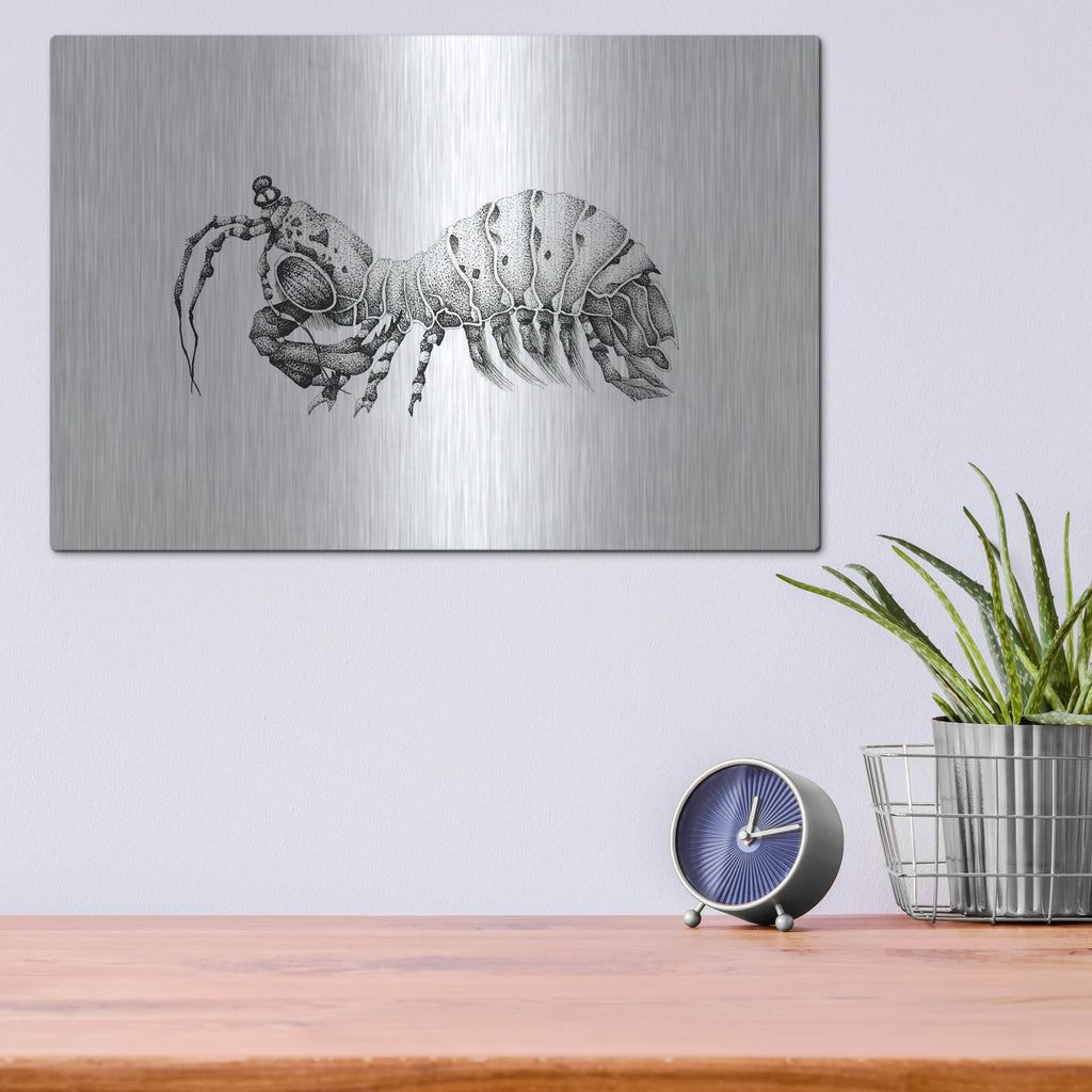'Peacock Mantis Shrimp' by Avery Multer – Metal Wall Art, 16x12 room view