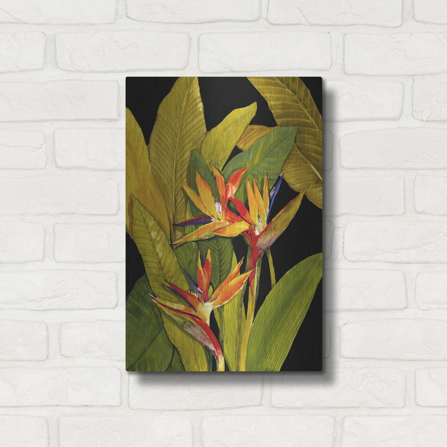 Luxe Metal Art 'Dramatic Bird of Paradise' by Tim O'Toole, Metal Wall Art,12x16