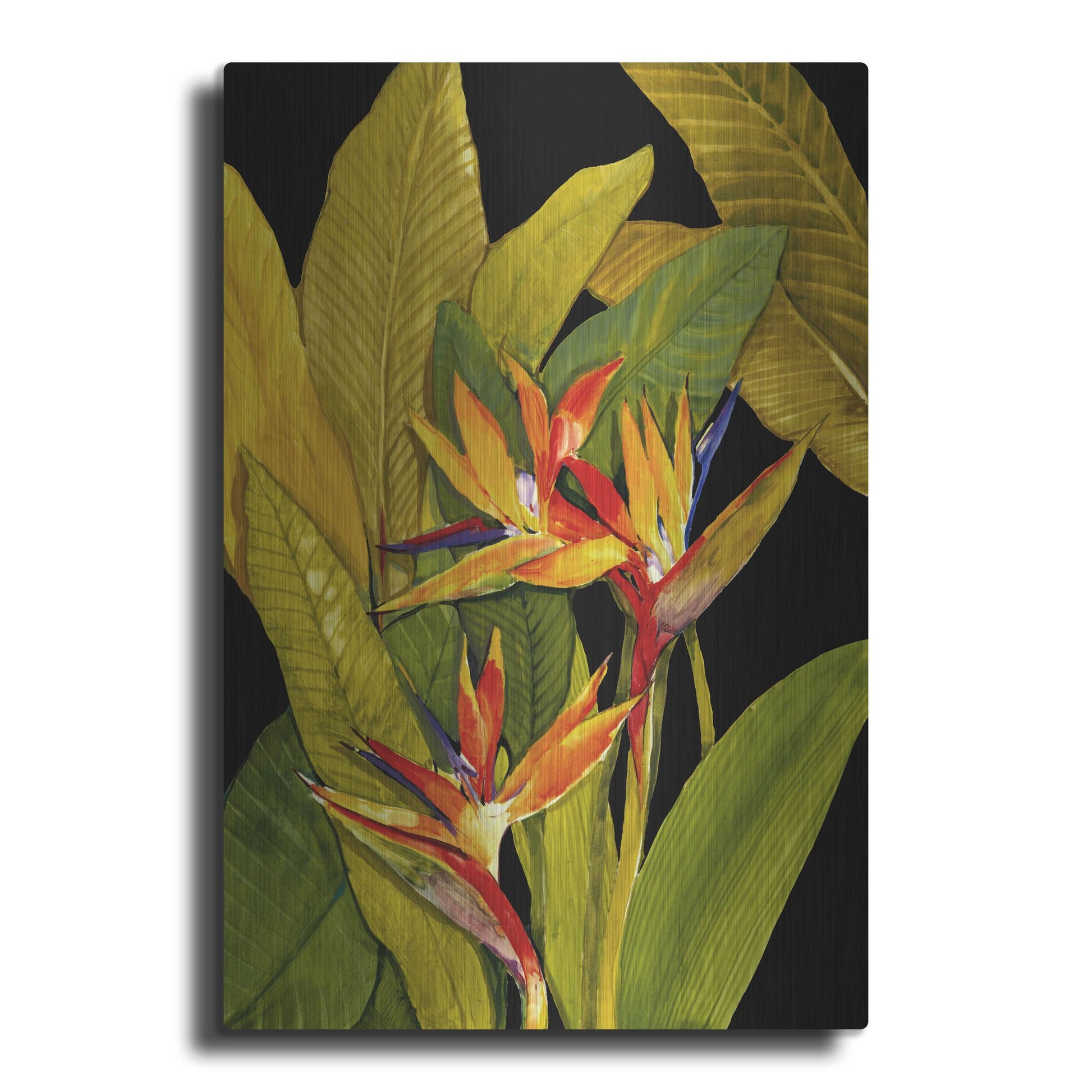 Luxe Metal Art 'Dramatic Bird of Paradise' by Tim O'Toole, Metal Wall Art