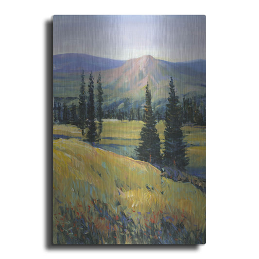 Luxe Metal Art 'Purple Mountain Majesty II' by Tim O'Toole, Metal Wall Art