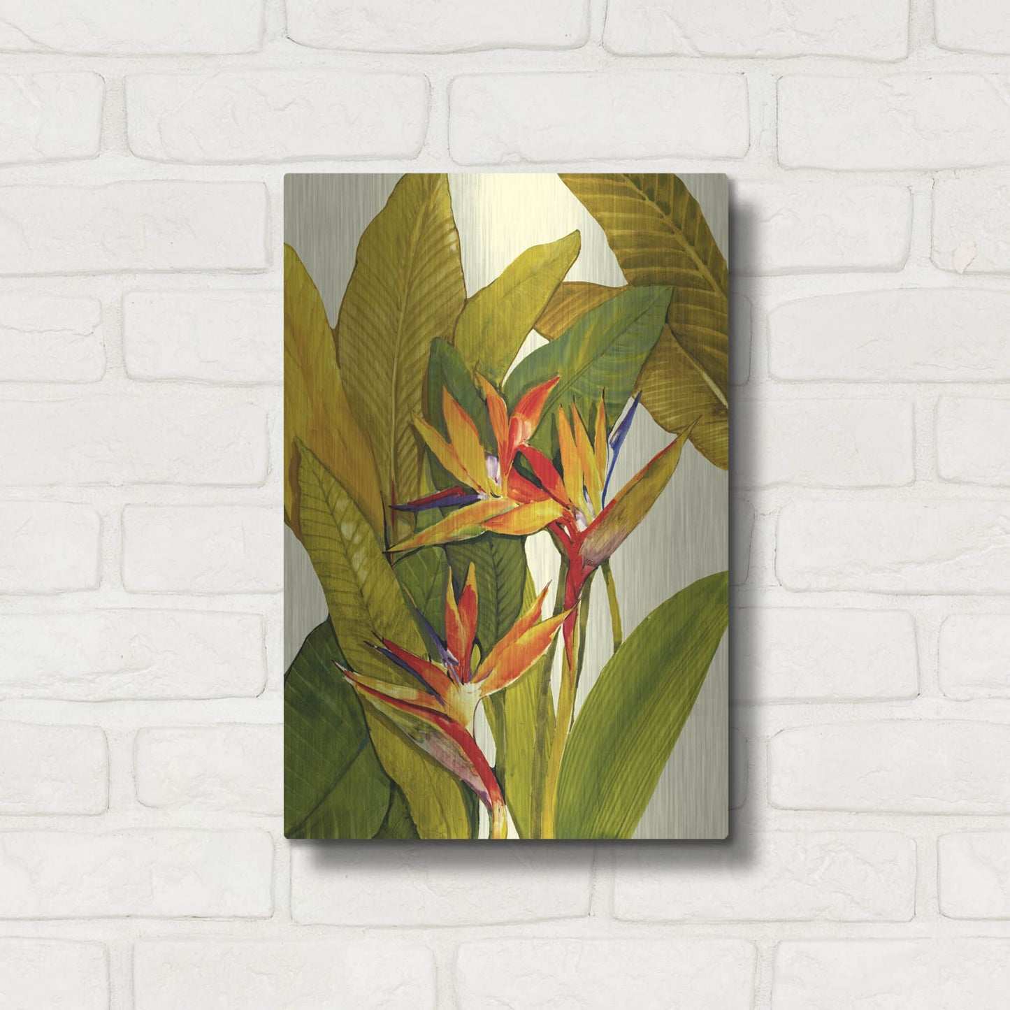 Luxe Metal Art 'Tropical Bird of Paradise' by Tim O'Toole, Metal Wall Art,12x16