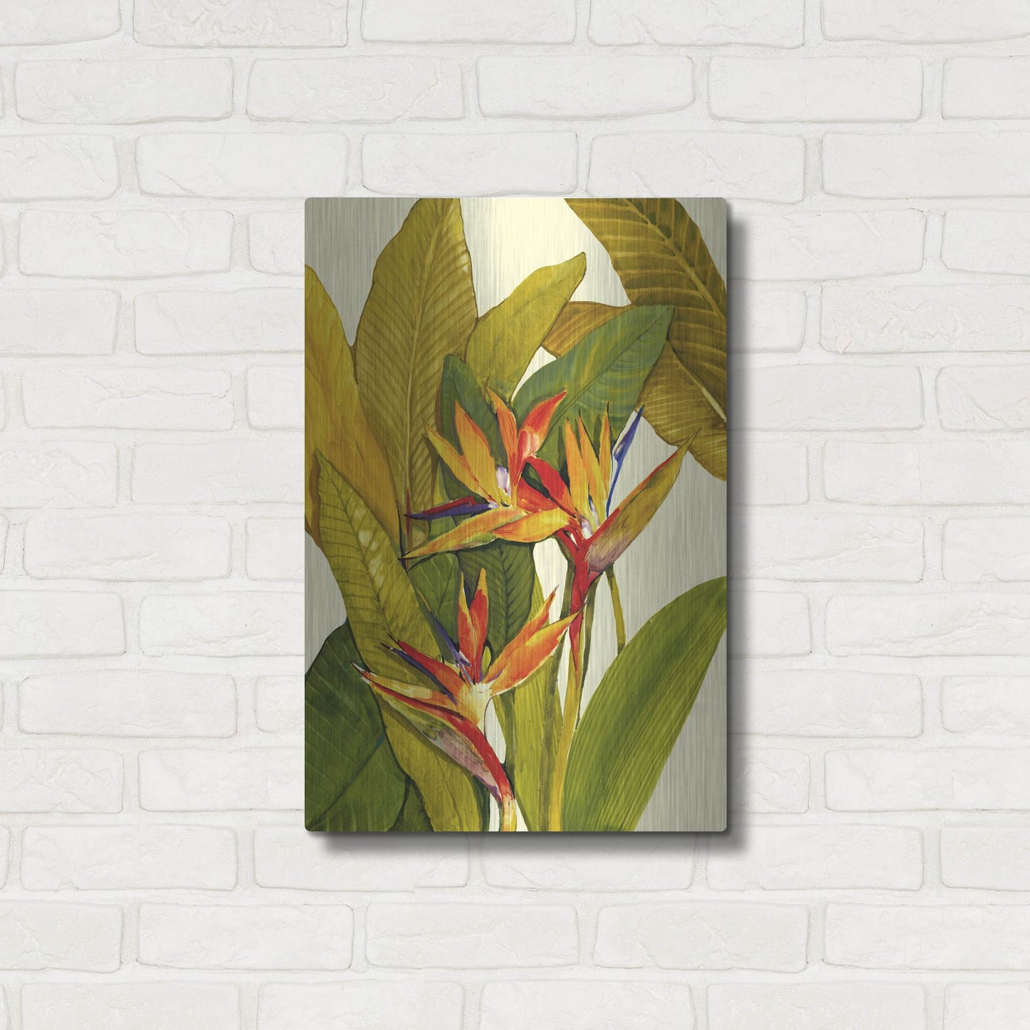 Luxe Metal Art 'Tropical Bird of Paradise' by Tim O'Toole, Metal Wall Art,16x24