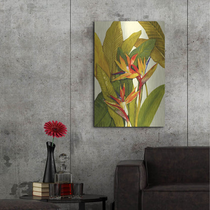 Luxe Metal Art 'Tropical Bird of Paradise' by Tim O'Toole, Metal Wall Art,24x36