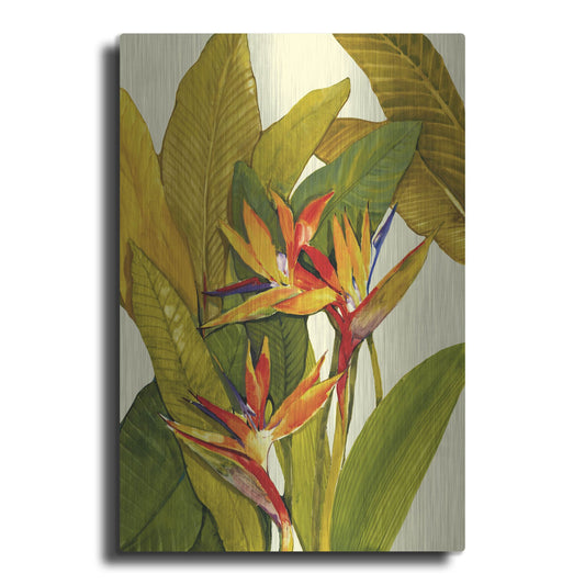 Luxe Metal Art 'Tropical Bird of Paradise' by Tim O'Toole, Metal Wall Art