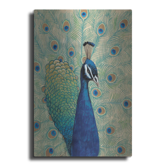 Luxe Metal Art 'Blue Peacock I' by Tim O'Toole, Metal Wall Art
