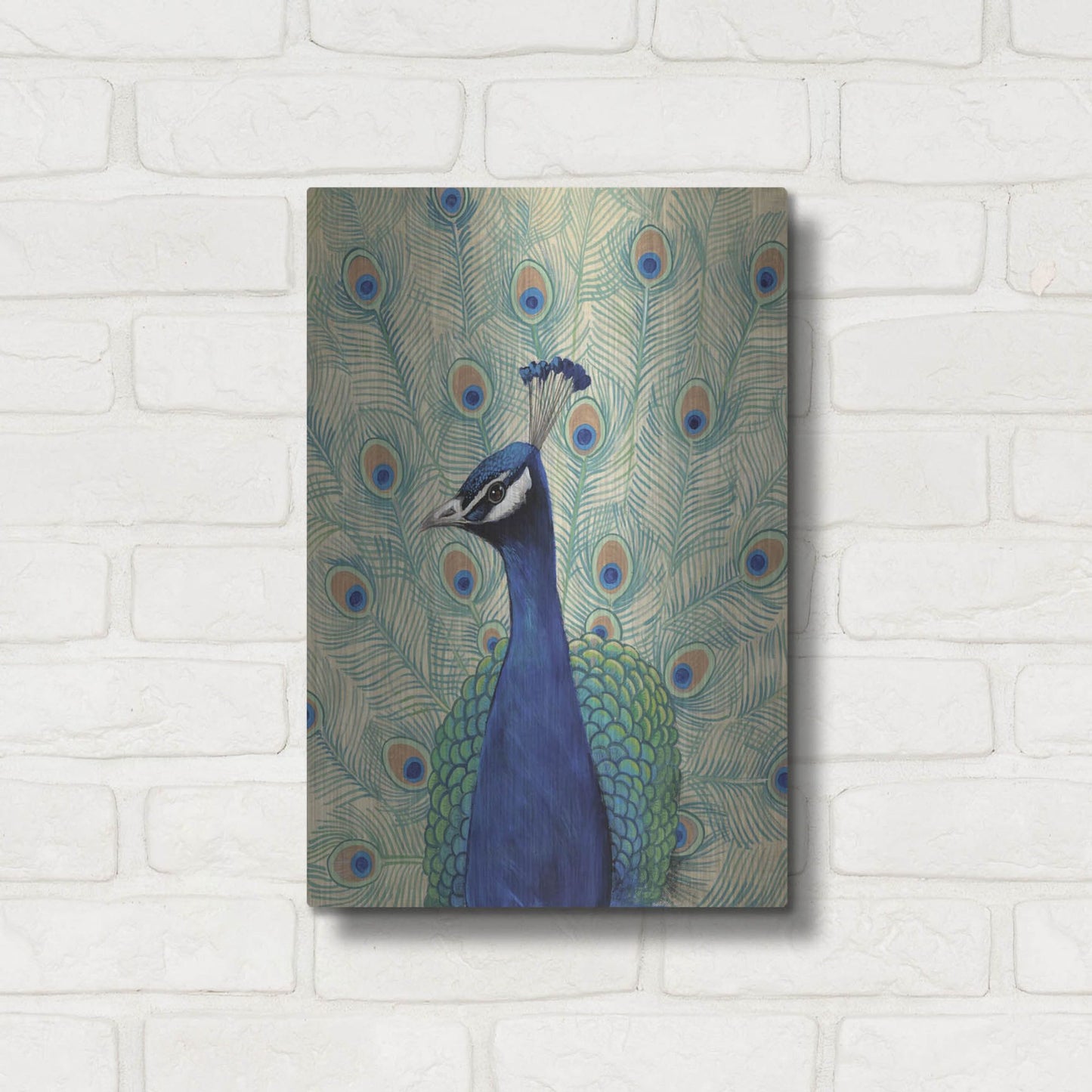 Luxe Metal Art 'Blue Peacock II' by Tim O'Toole, Metal Wall Art,12x16