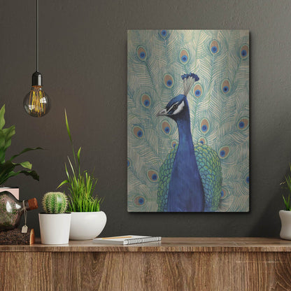 Luxe Metal Art 'Blue Peacock II' by Tim O'Toole, Metal Wall Art,12x16
