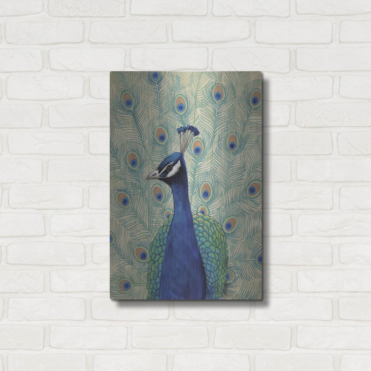 Luxe Metal Art 'Blue Peacock II' by Tim O'Toole, Metal Wall Art,16x24