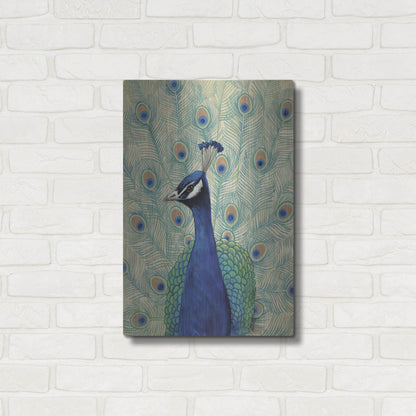 Luxe Metal Art 'Blue Peacock II' by Tim O'Toole, Metal Wall Art,16x24