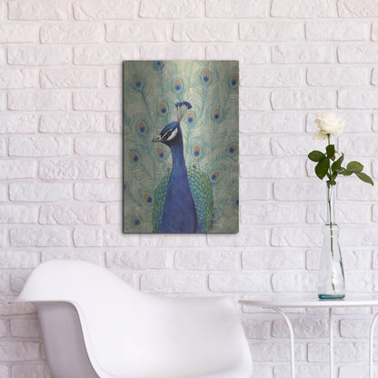 Luxe Metal Art 'Blue Peacock II' by Tim O'Toole, Metal Wall Art,16x24