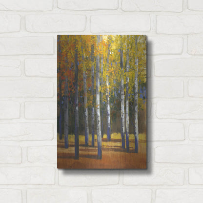 Luxe Metal Art 'Fall in Glory I' by Tim O'Toole, Metal Wall Art,12x16