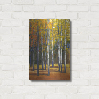 Luxe Metal Art 'Fall in Glory I' by Tim O'Toole, Metal Wall Art,16x24