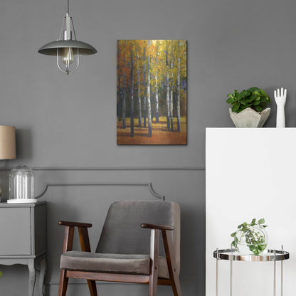 Luxe Metal Art 'Fall in Glory I' by Tim O'Toole, Metal Wall Art,16x24