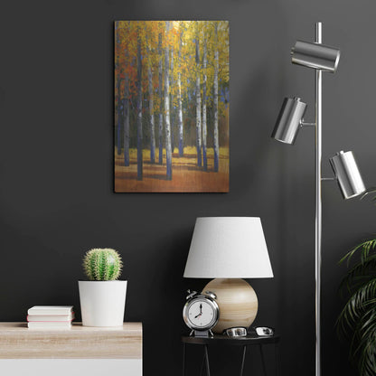 Luxe Metal Art 'Fall in Glory I' by Tim O'Toole, Metal Wall Art,16x24