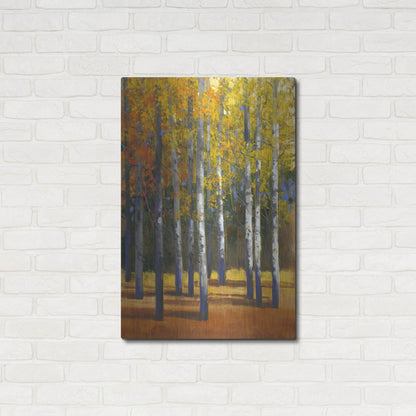 Luxe Metal Art 'Fall in Glory I' by Tim O'Toole, Metal Wall Art,24x36