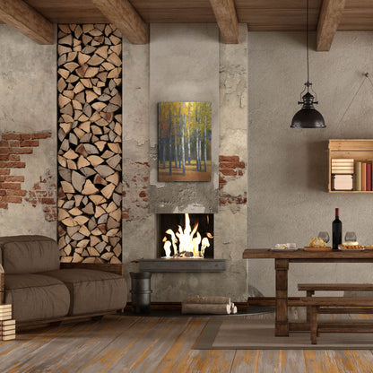 Luxe Metal Art 'Fall in Glory I' by Tim O'Toole, Metal Wall Art,24x36