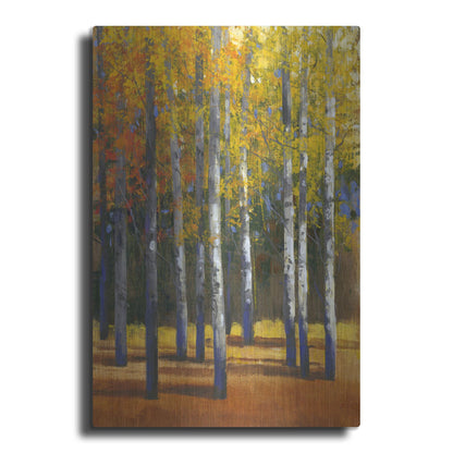 Luxe Metal Art 'Fall in Glory I' by Tim O'Toole, Metal Wall Art