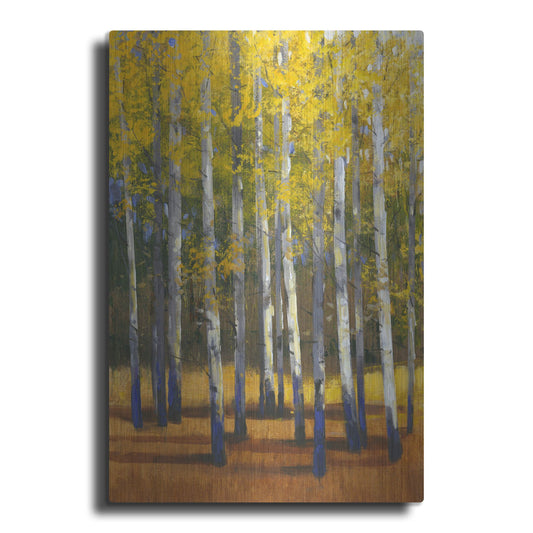 Luxe Metal Art 'Fall in Glory II' by Tim O'Toole, Metal Wall Art