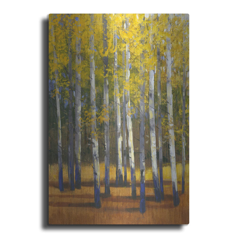 'Fall in Glory II' by Tim O'Toole – Metal Wall Art