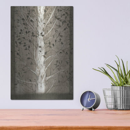 Luxe Metal Art 'Intertwine II' by Tim O'Toole, Metal Wall Art,12x16