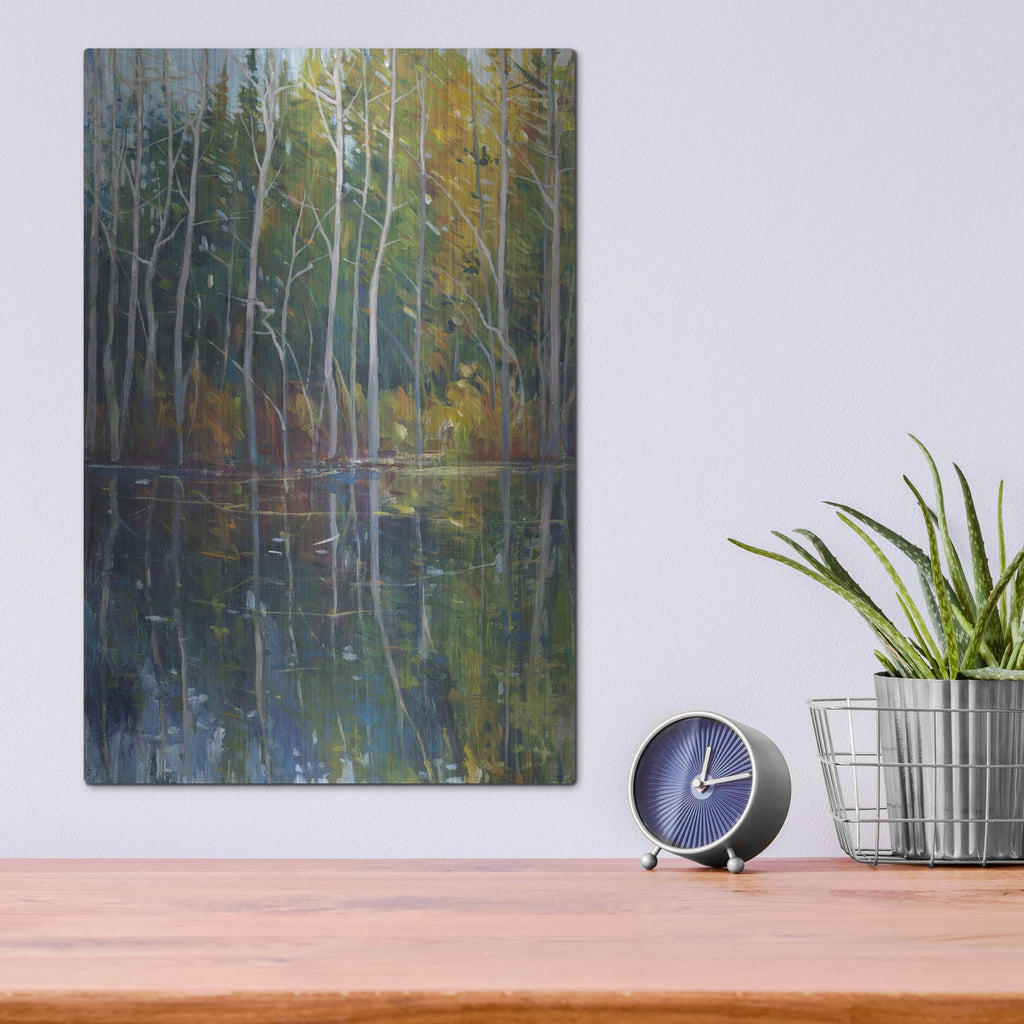 Luxe Metal Art 'Pine Reflection II' by Tim O'Toole, Metal Wall Art,12x16