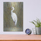 Luxe Metal Art 'White Egret I' by Tim O'Toole, Metal Wall Art,12x16