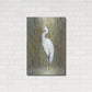 Luxe Metal Art 'White Egret I' by Tim O'Toole, Metal Wall Art,24x36