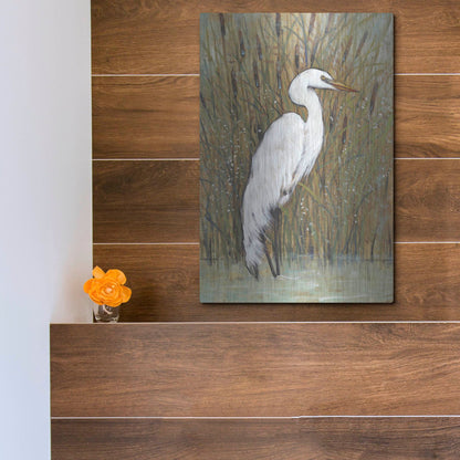 Luxe Metal Art 'White Egret II' by Tim O'Toole, Metal Wall Art,12x16