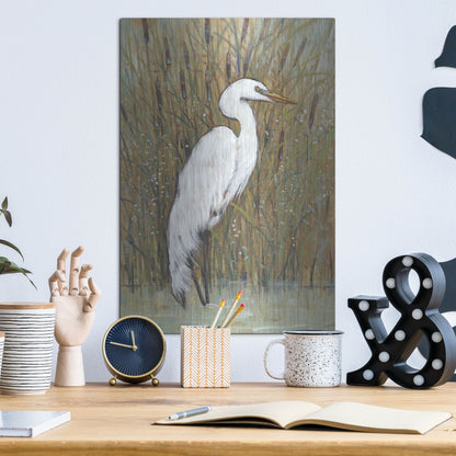 Luxe Metal Art 'White Egret II' by Tim O'Toole, Metal Wall Art,12x16