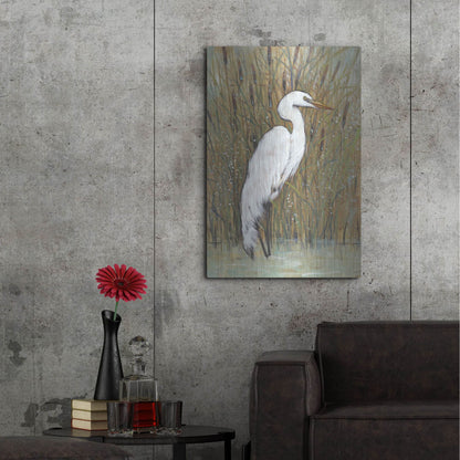 Luxe Metal Art 'White Egret II' by Tim O'Toole, Metal Wall Art,24x36