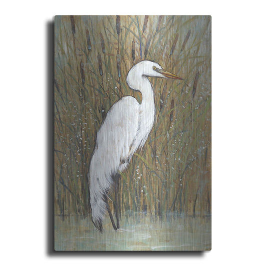 Luxe Metal Art 'White Egret II' by Tim O'Toole, Metal Wall Art