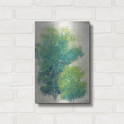 Luxe Metal Art 'A Pair of Trees I' by Tim O'Toole, Metal Wall Art,12x16