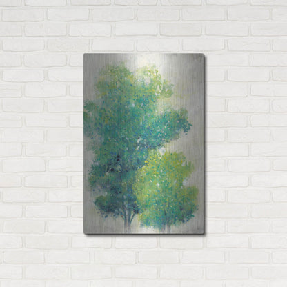 Luxe Metal Art 'A Pair of Trees I' by Tim O'Toole, Metal Wall Art,24x36