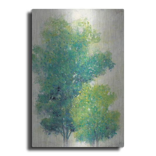Luxe Metal Art 'A Pair of Trees I' by Tim O'Toole, Metal Wall Art