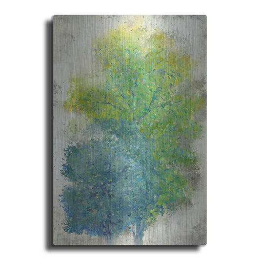 Luxe Metal Art 'A Pair of Trees II' by Tim O'Toole, Metal Wall Art