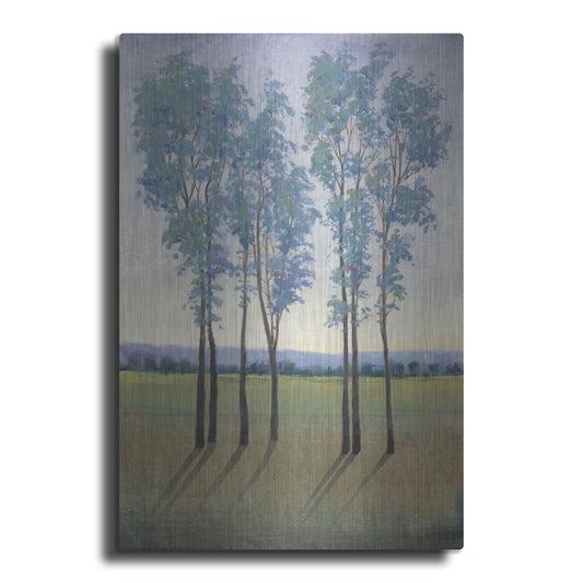 Luxe Metal Art 'Acreage I' by Tim O'Toole, Metal Wall Art