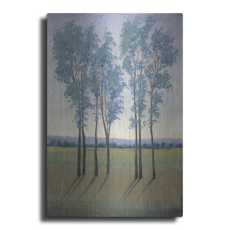 'Acreage I' by Tim O'Toole – Metal Wall Art