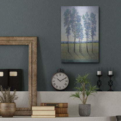 Luxe Metal Art 'Acreage II' by Tim O'Toole, Metal Wall Art,12x16